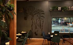 Unicorn Zebra